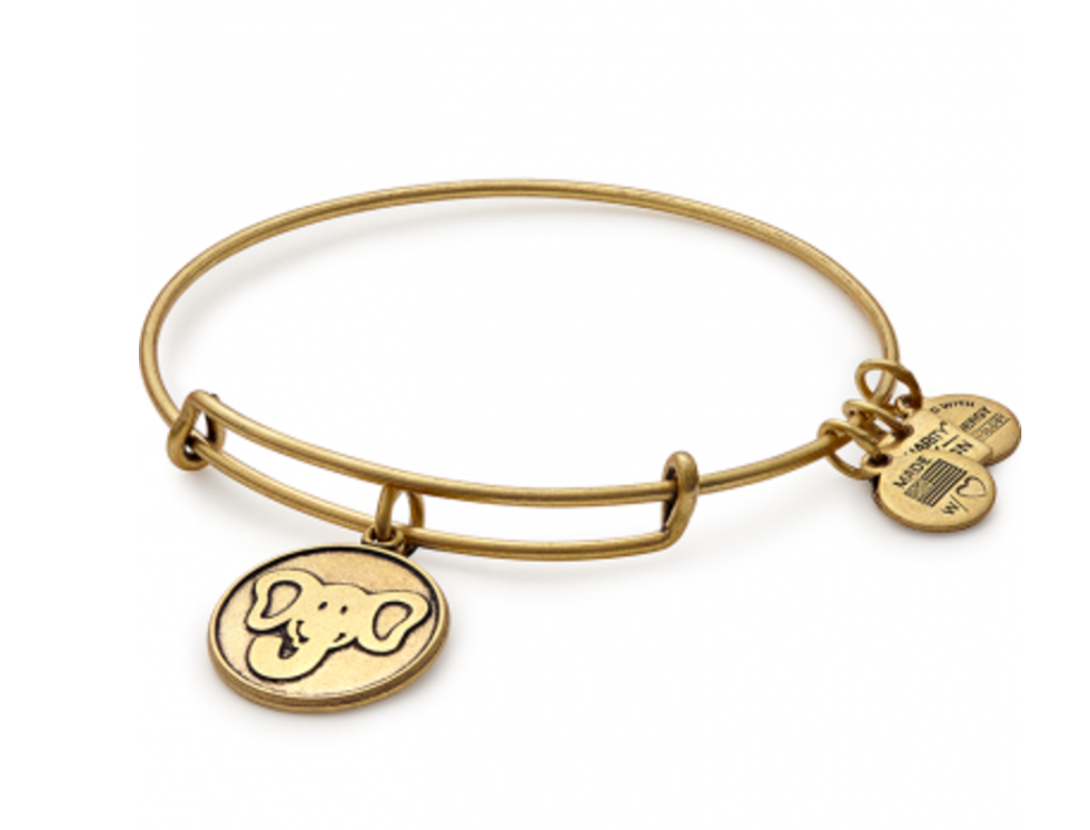 9 Things All Elephant Lovers Need