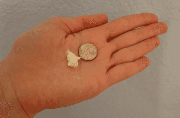 12 "Rules" Everyone Breaks Regularly