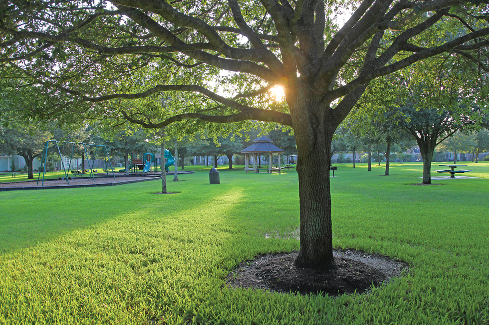 Cypress, Texas: There's No Place Like Home