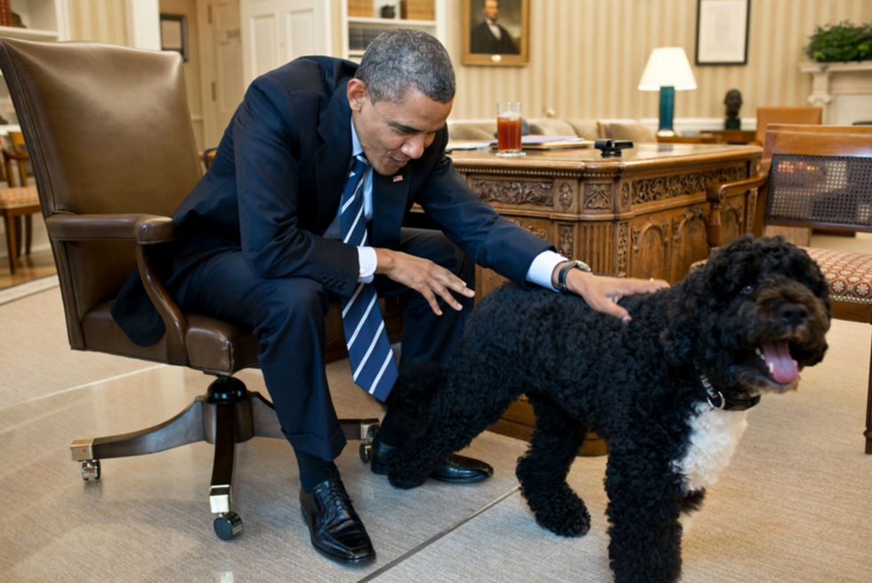 7 Strange Pets Our Past US Presidents Owned