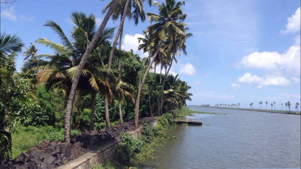 Why Being Embarrassed Of Your Culture Is Problematic