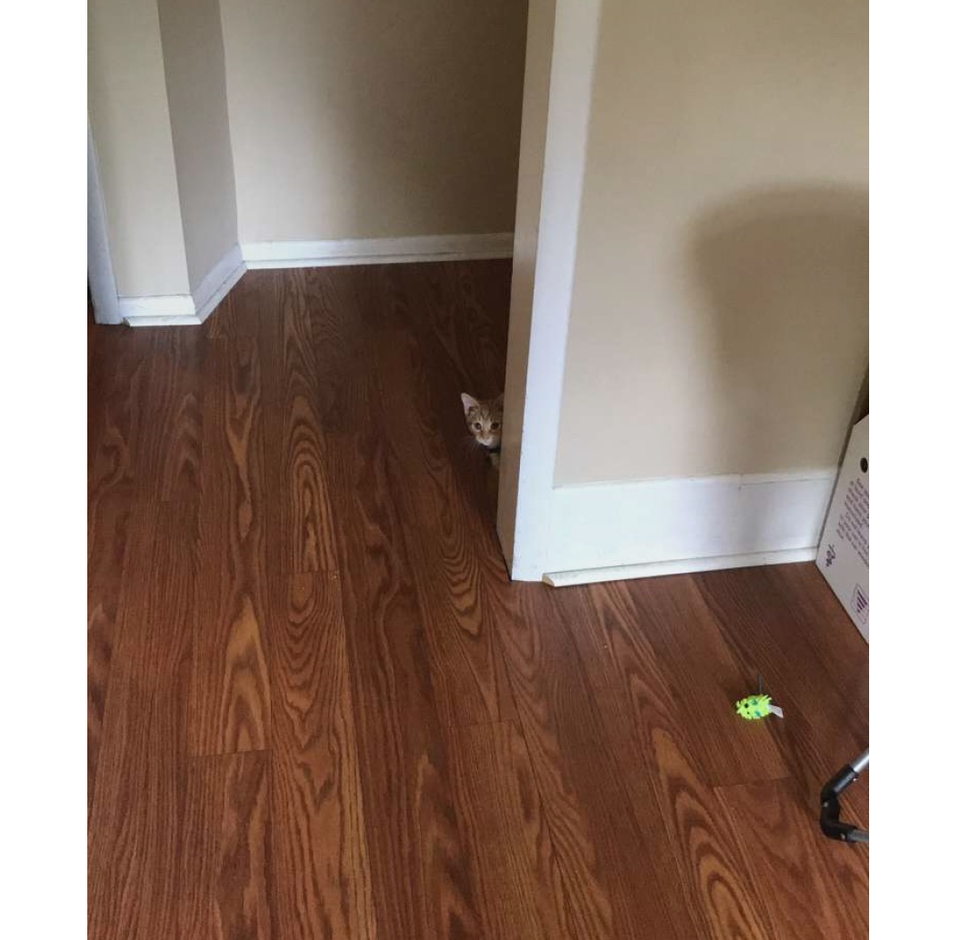 Why I Am A People Watcher And You Should Be Too