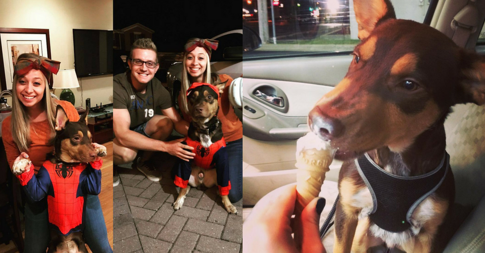 5 Things You Do When Your Dog Is Your Best Friend