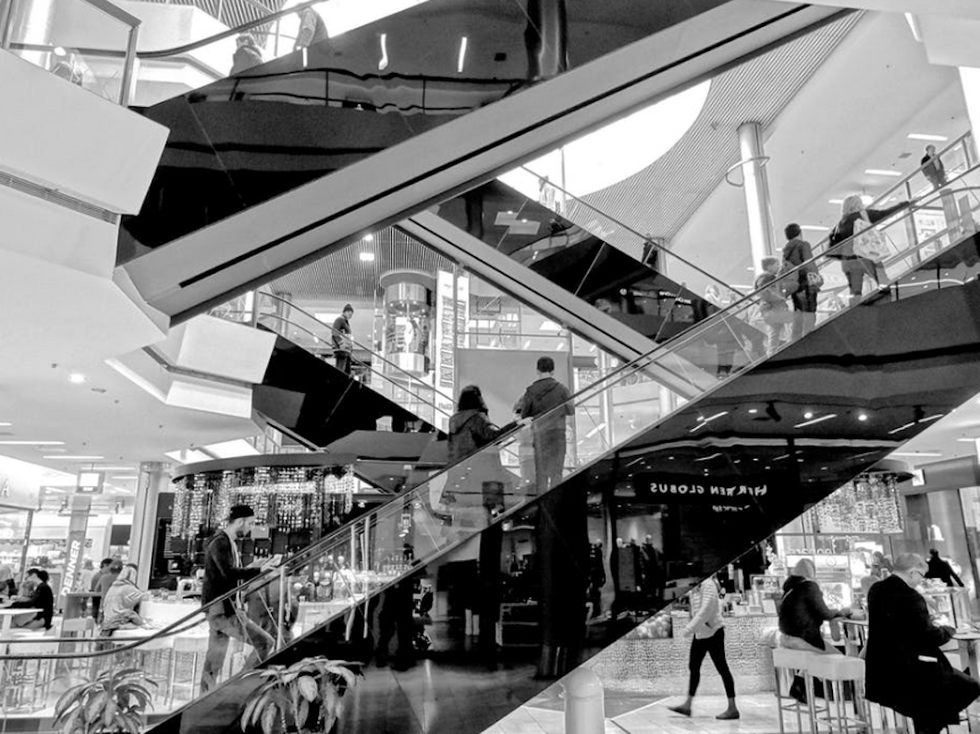 How An Evolutionary Perspective Can Give Us A Glimpse Toward The Future Of Black Friday Shopping