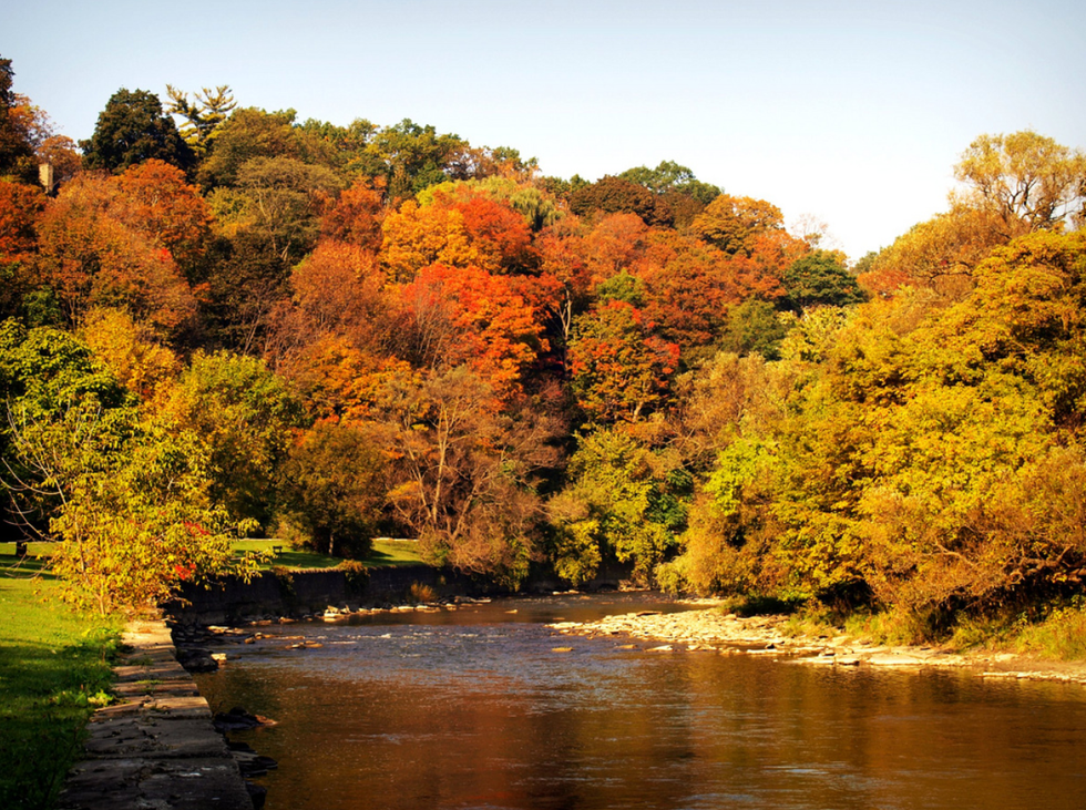 A Thank You To My Roots