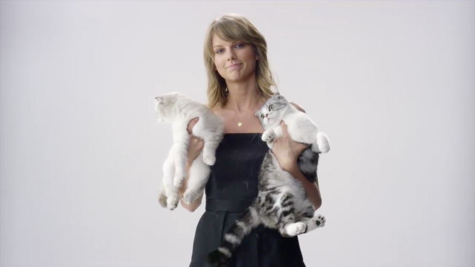 How We All Can Relate To Taylor Swift's Cats