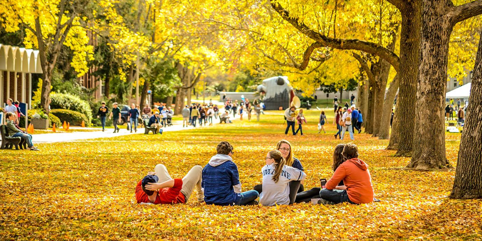 25 Unbearable Signs You Go To UMaine