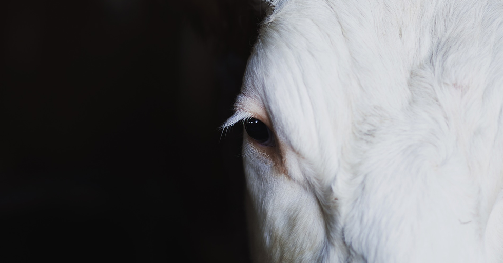 My Supernatural Encounter