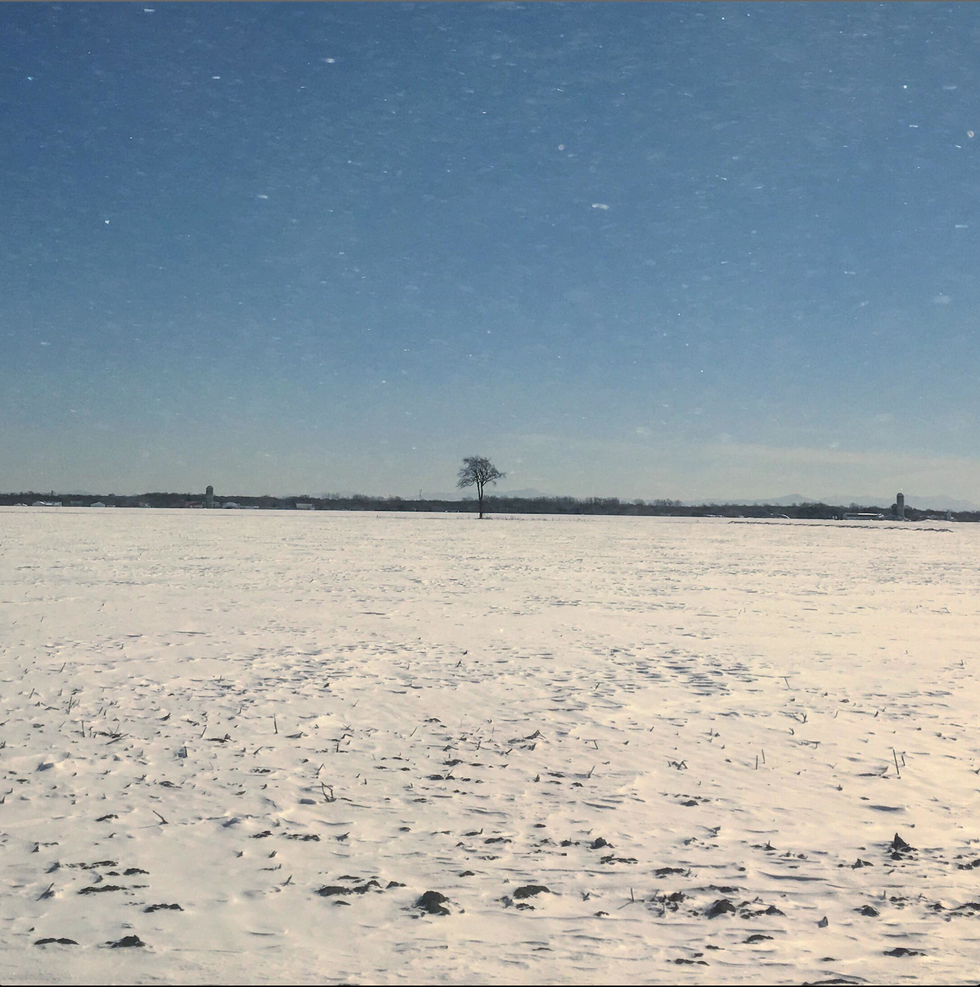 A Reflection On The Mess Of 2017