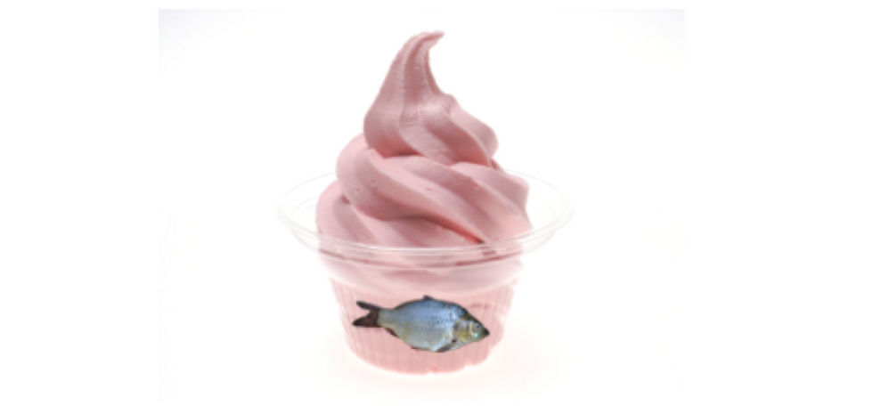 A Definitive List Of The 10 Best Frozen Yogurt Flavors To Fill Your Fish’s Fishbowl With Instead Of Water