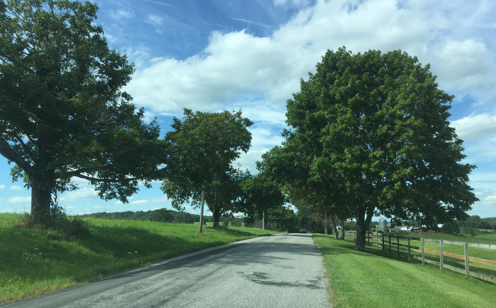 If It's Meant To Be...It Will Be?