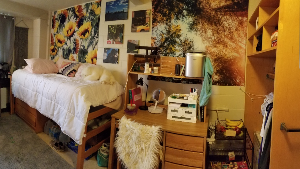 7 Struggles Of Dorm Life We've All Had To Experience