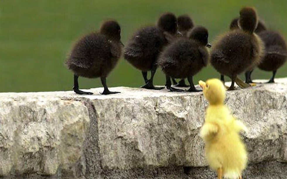 What To Do If You Feel Like The Odd One Out