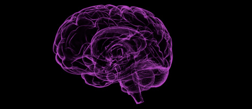 Humanistic Psych Vs. Positive Psych