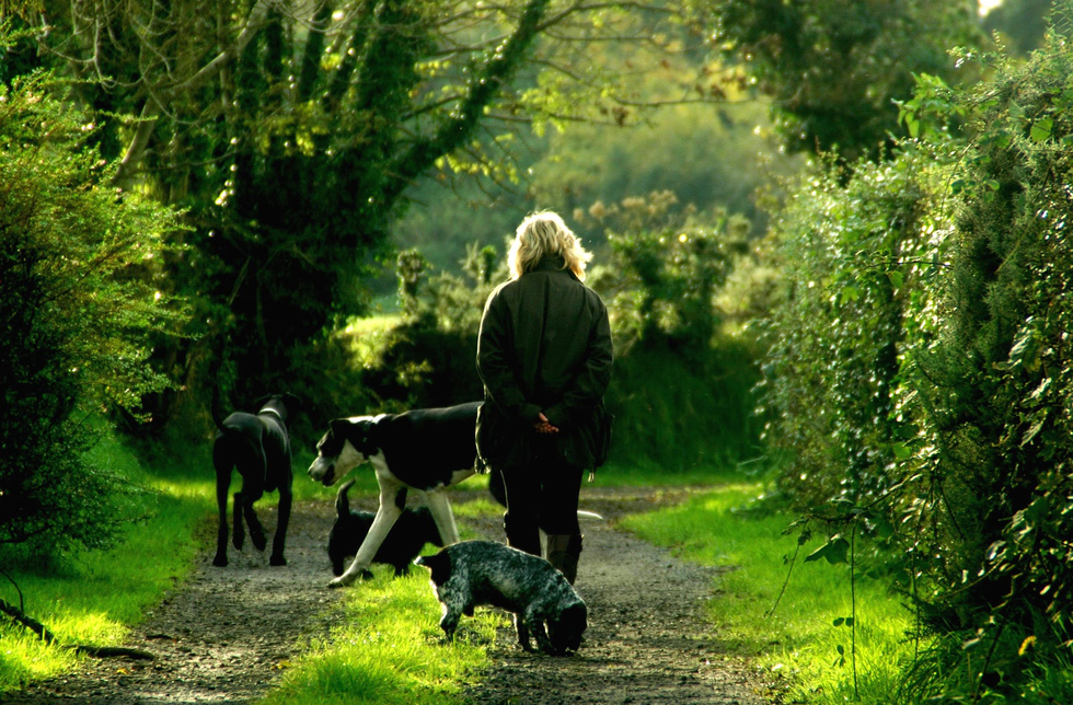 Dogs Are So Much More Than Just A Man's Best Friend