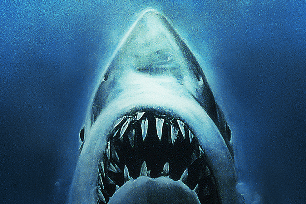 "Jaws" Through The Eyes Of The Shark