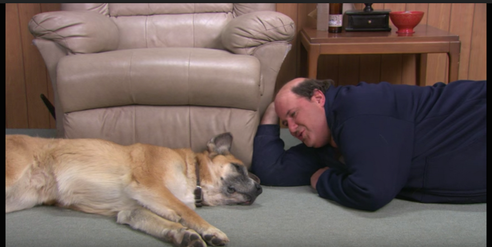 'The Office' Characters As Dog Breeds