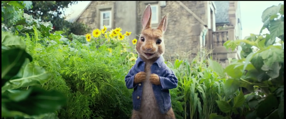 About That Controversial "Peter Rabbit" Scene