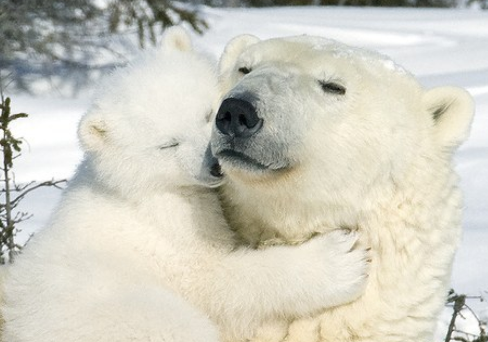 20 Pick-Up Lines That Will Guarantee You A Date For Valentine's Day