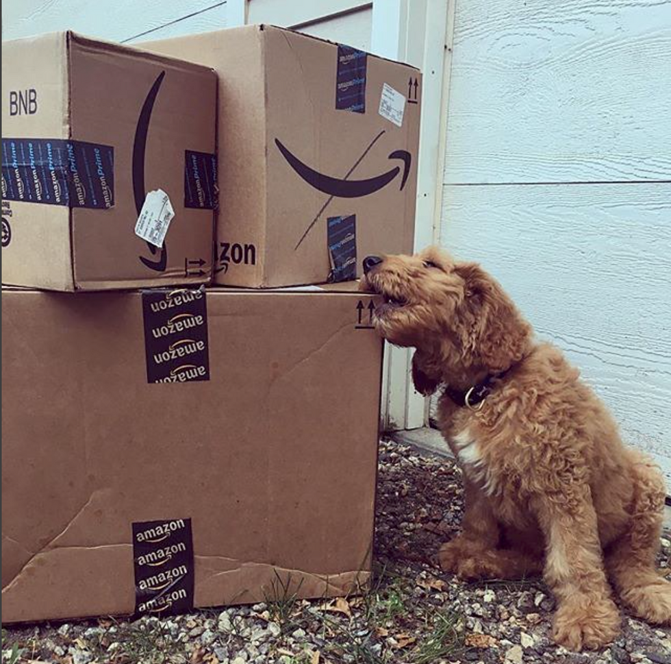 8 Reasons Why You Should Drop Everything And Get Amazon Prime Right Now