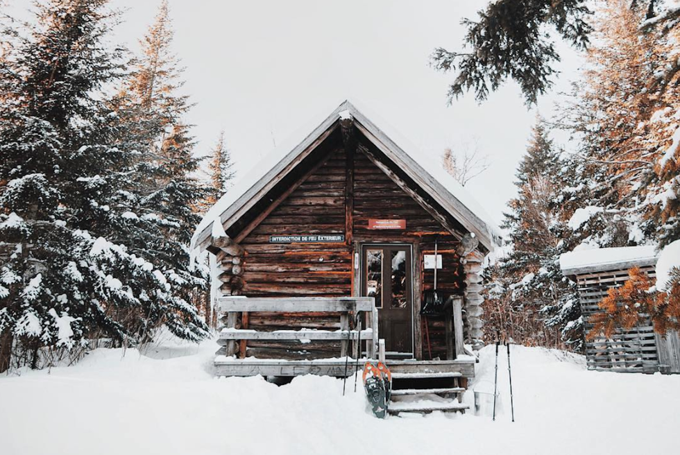 Short Story On Odyssey: The Bear