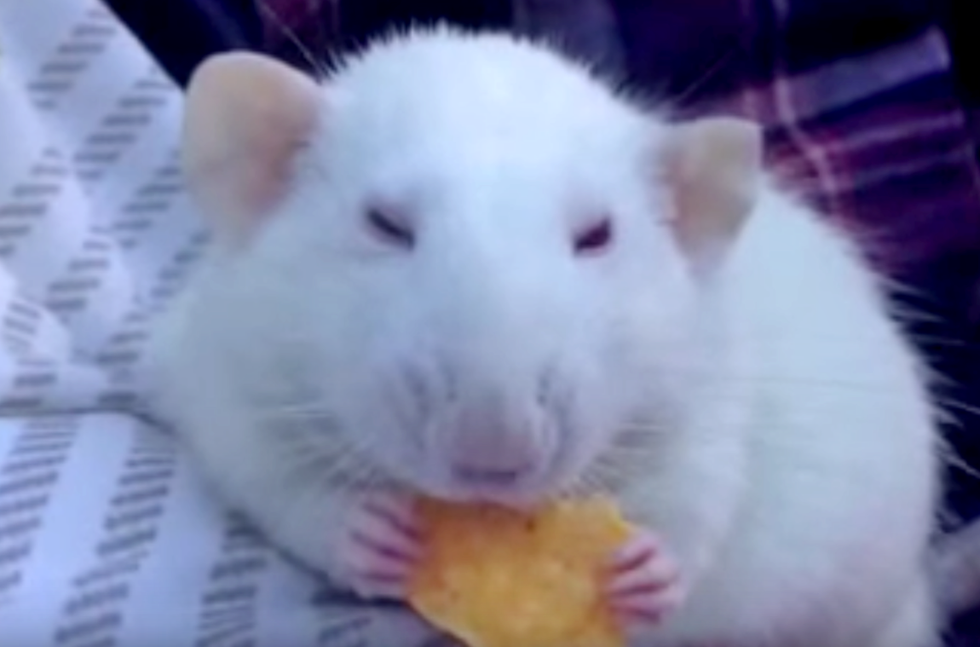 15 Holidays In February You NEED To Know About