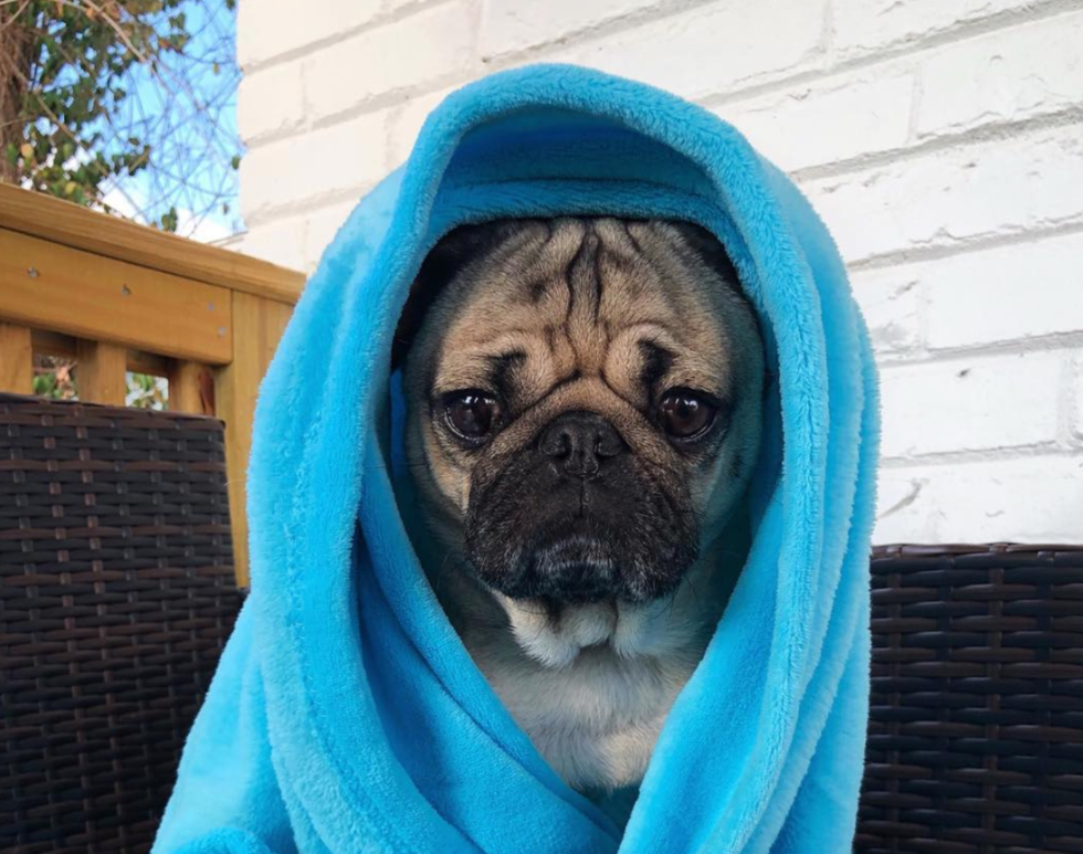 12 Things You Can Do Instead Of Going Out On The Weekend