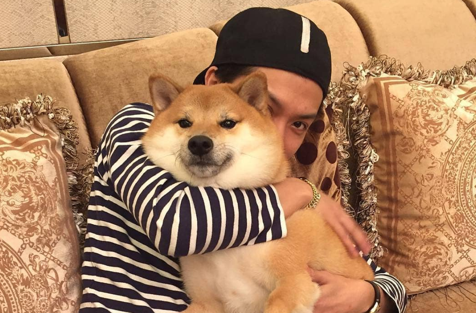 10 Dog Instagram Accounts Full Of Good Good Boys For You To Love The