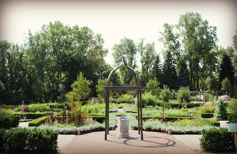 Places to Explore in Ann Arbor