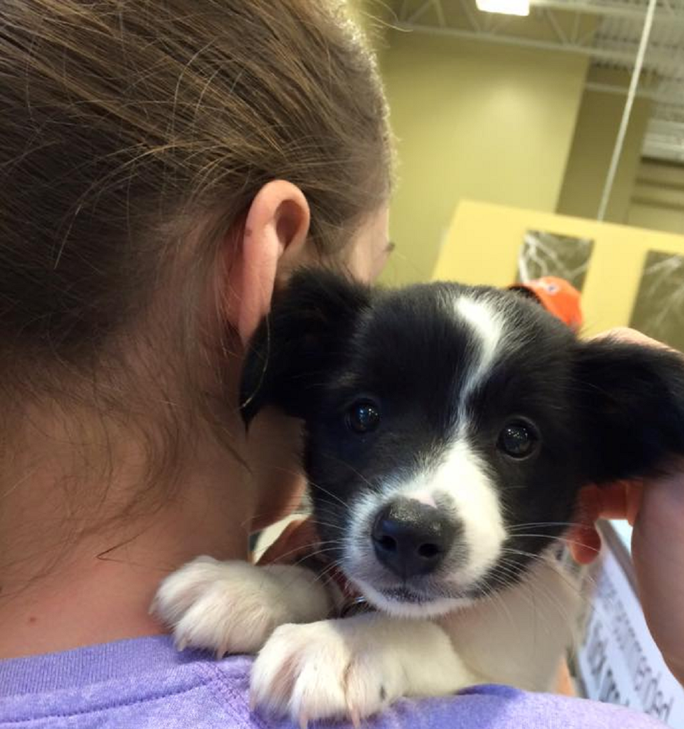 15 Reasons Why Dogs Are The Best Friend Anyone Could Have