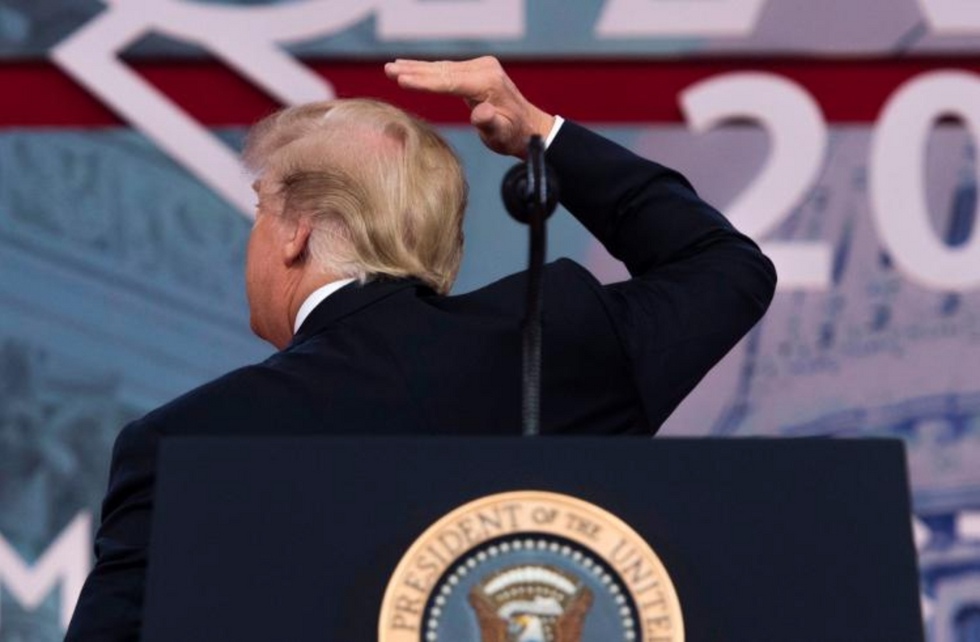 10 Things That Look Like Donald Trump's Hair