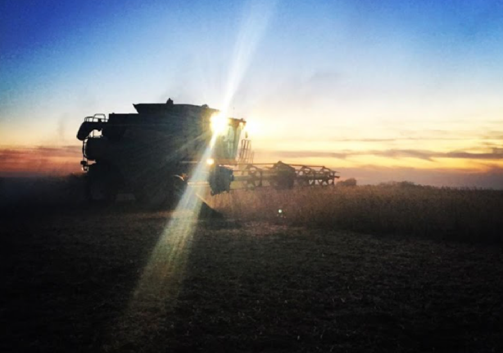 An Agriculture Hangover