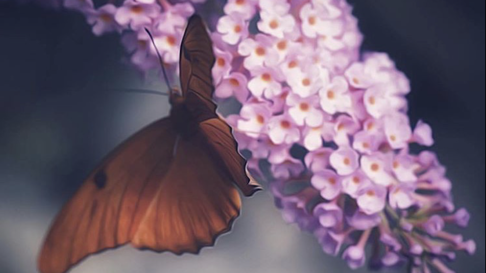 To The Girl Who Sees The Good In Everyone, Even Those She Knows She Shouldn’t