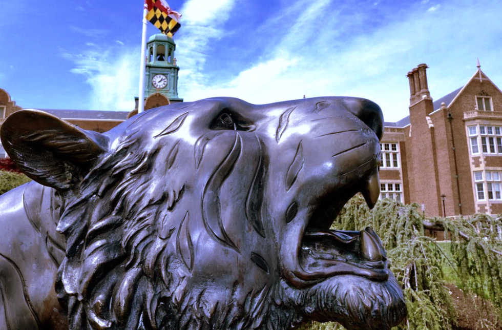 Did You Really Even Go To Towson If You Haven't Experienced These 56 Things?