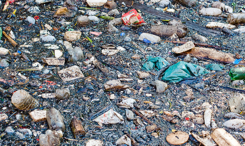 The Undeniable Truth About The Great Pacific Garbage Patch That No One Is Telling You