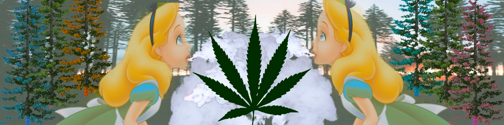 Weed Culture Has Grown To Be Couture