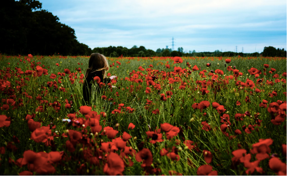 Springtime In New England, As Told By Real Housewives Of New York
