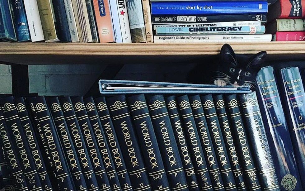 5 Books To Make You More Cultured