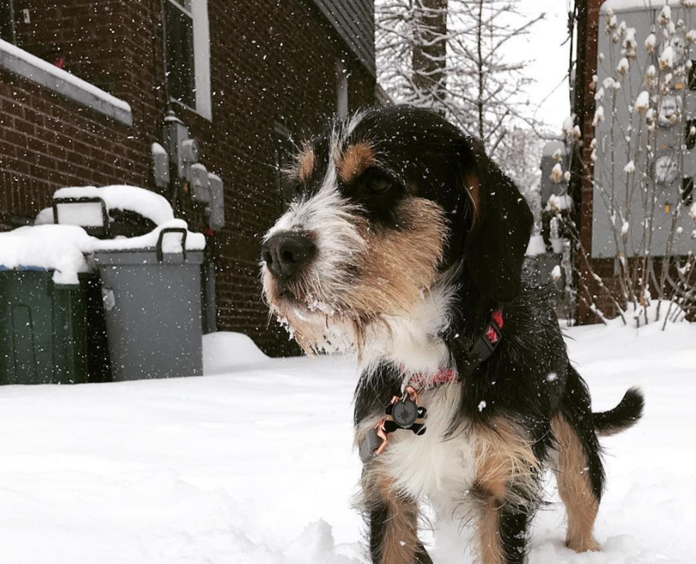 Dear Pennsylvania Weather, Get It Together