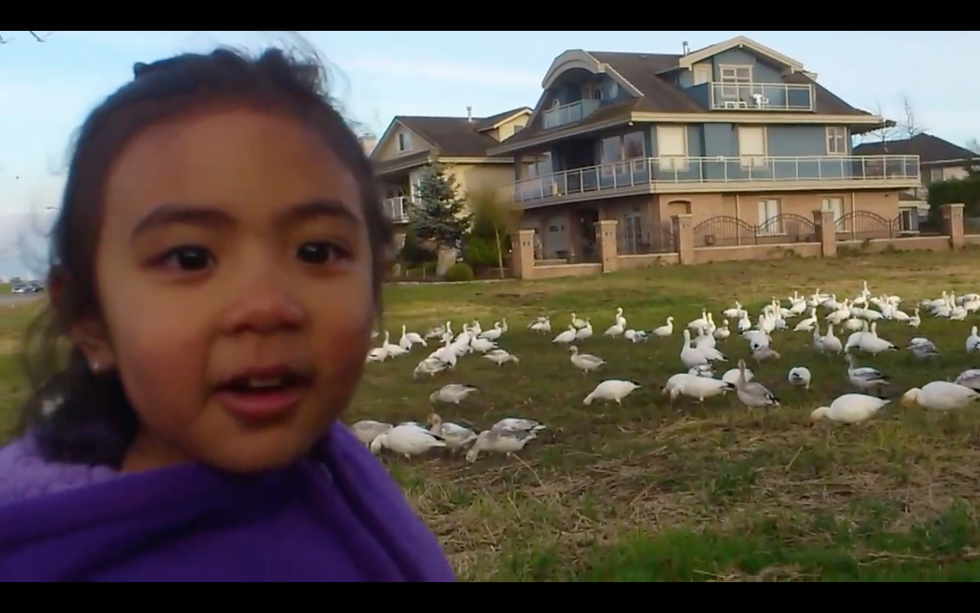 If College Majors Earned Their Degrees In Vine-ology