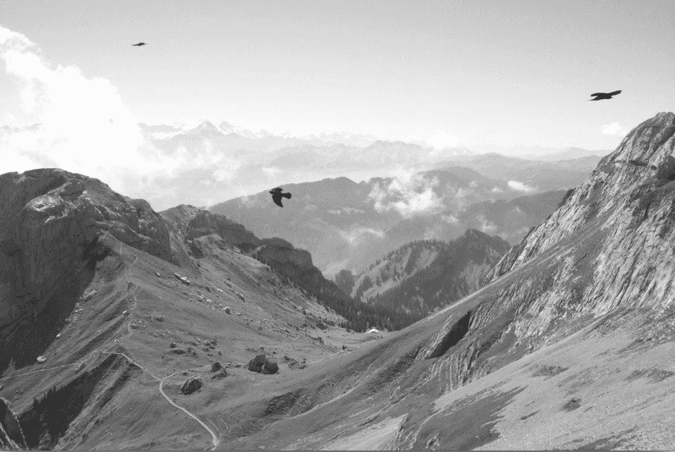 Depression Can Be A Quiet Whisper Or Ruthlessly Loud