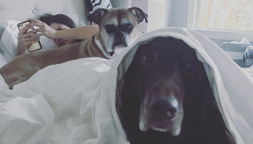 10 Reasons Living Together Before Marriage Is Actually A Good Idea