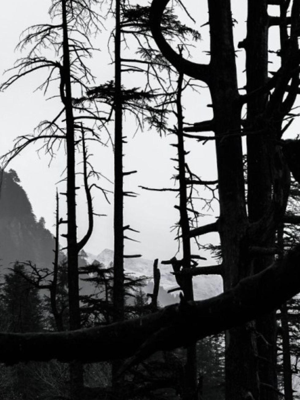 Silence: The Absence Of Sound