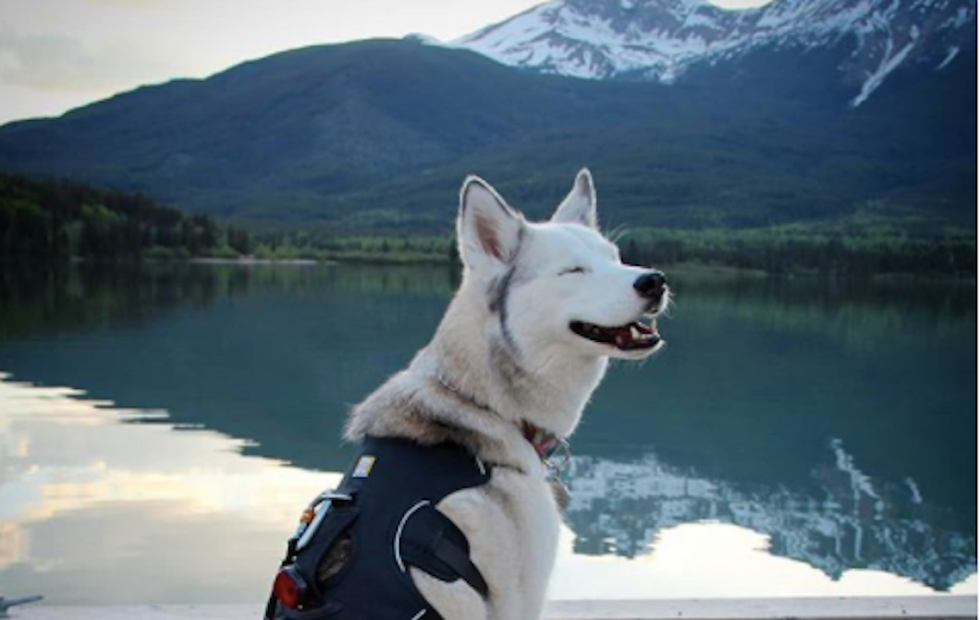 Being Successful Isn't Easy, But These 10 Tips May Lead You In The Right Direction