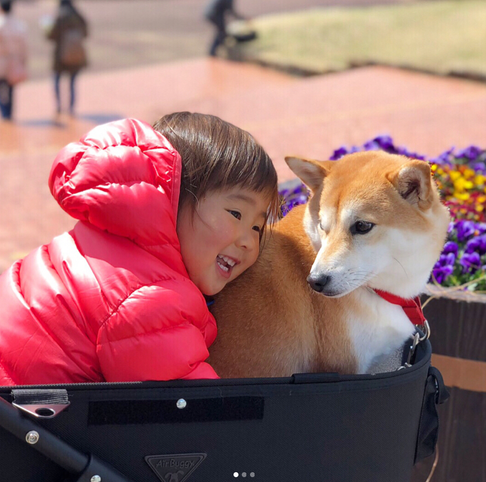 I Found The BEST Instagram Account EVER