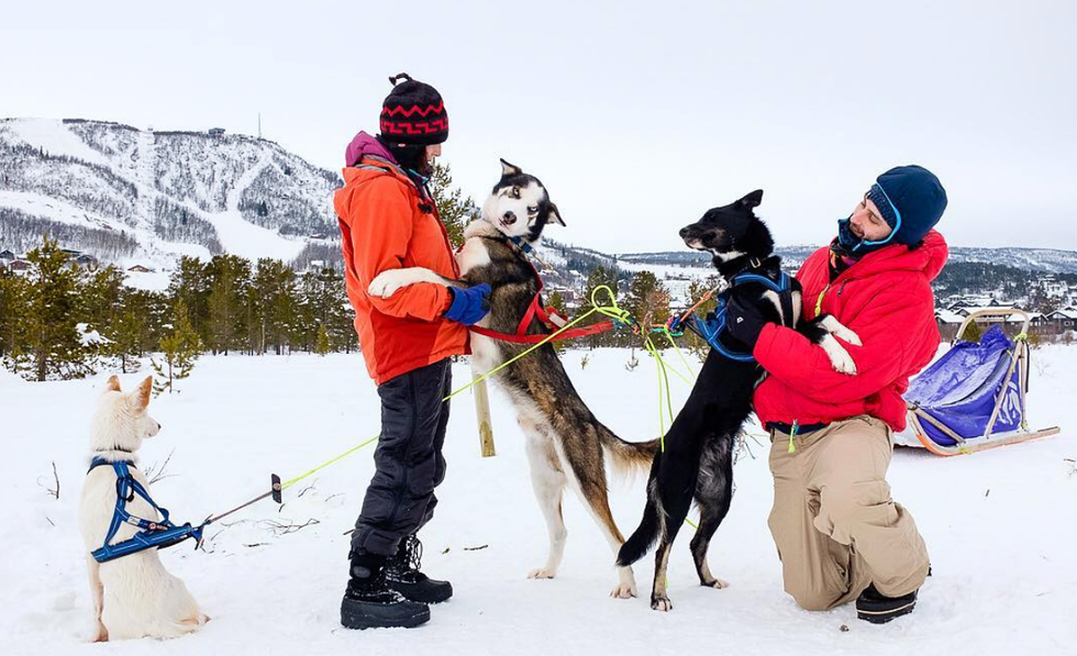 5 Of The Most Democratic Countries You Can Live In, Looks Like It's Time To Apply For That Green Card