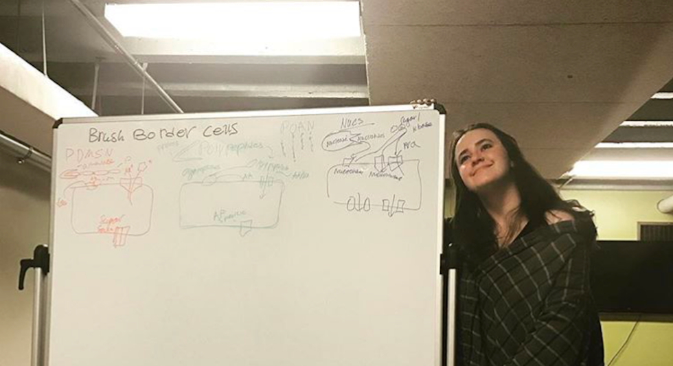 Only Losers Like To Learn, So Call Me A Loser