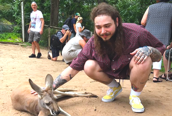 22 Post Malone ‘Beerbongs & Bentleys’ Lyrics College Kids Will Use As Insta Captions