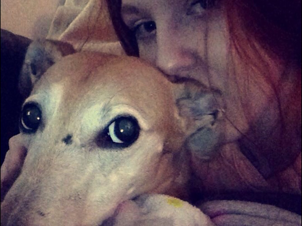 Happy Birthday To My Dog