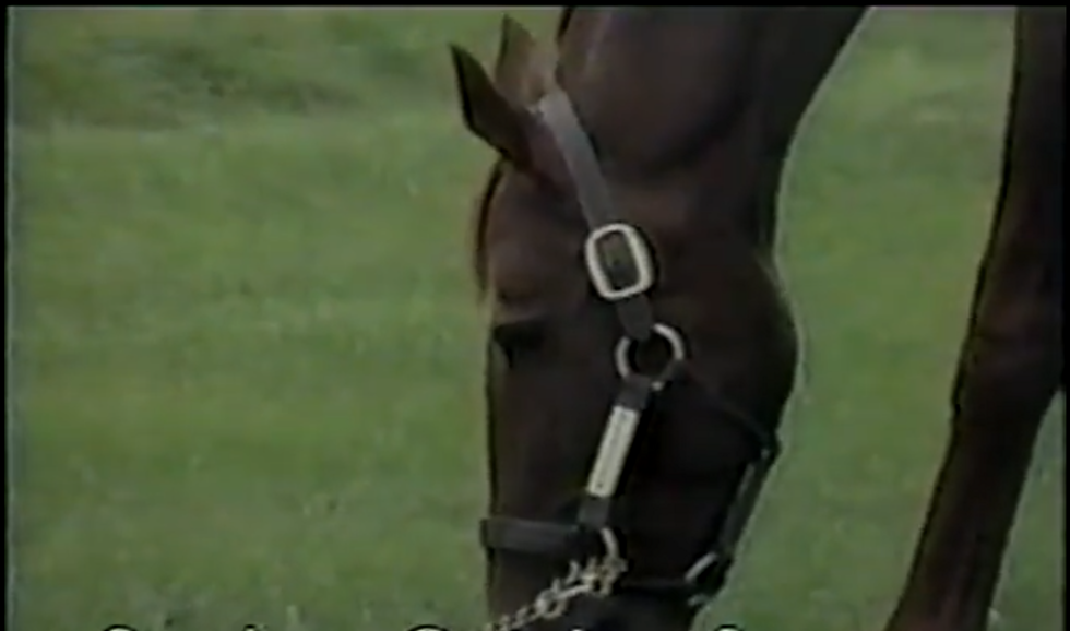 Secretariat, The Triple Crown Legend